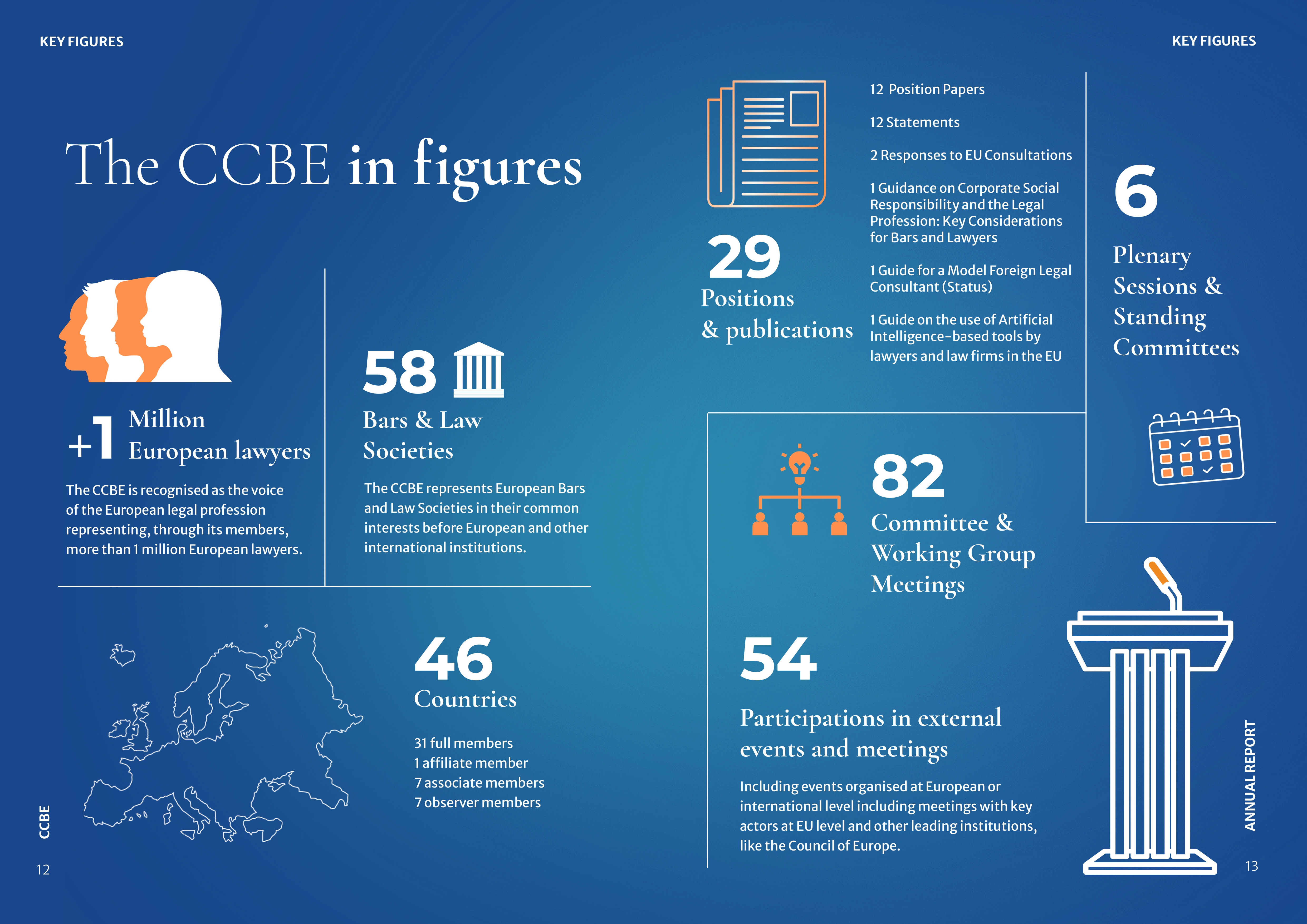 CCBE Annual Report